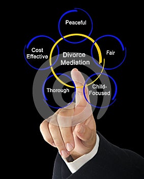 Components of Divorce Mediation