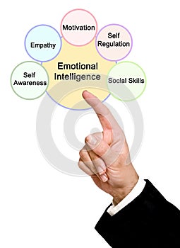 Components of Emotional Intelligence