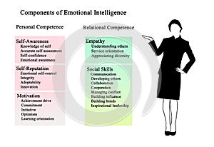 Components of Emotional Intelligence