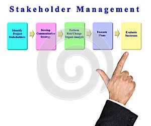 Components of Stakeholder Management