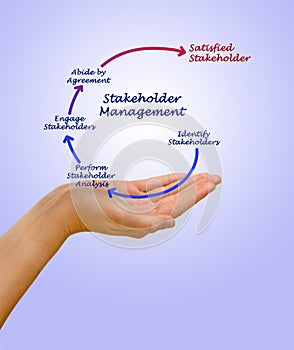 Components of Stakeholder Management