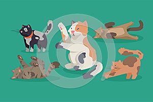 five cute cats mascots