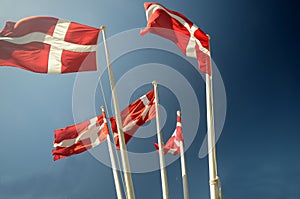 Group of Danish flags photo