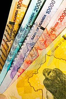 Five Ugandan monetary bank notes photo