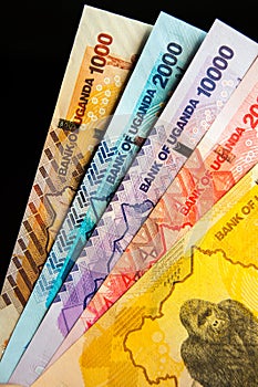 Five different Ugandan bank notes