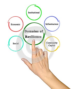 Five Domains of Resilience photo