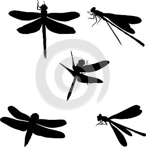 Five dragonfly silhouettes