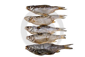 Five dried salted roach fishs on a isolated white background