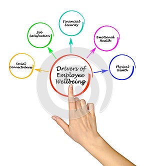 Drivers of Employee Wellbeing