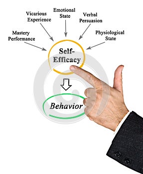 Drivers of self Efficacy photo
