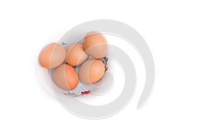 Five eggs in Cup. Isolated on white background