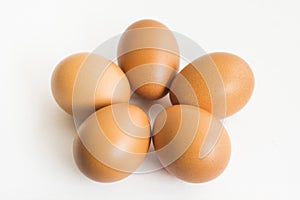 The five eggs on the isolated background