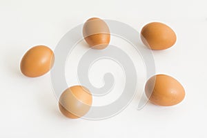 The five eggs on the isolated background