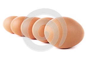 Five eggs are isolated on a white background