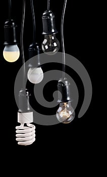 Five electric lamps in receptacle isolated on black photo