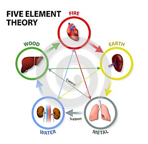 Five Element Theory