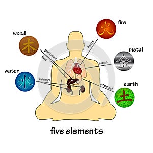 Five elements and human organs.