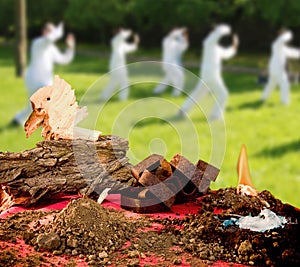 Five Elements Tai Taijiquan