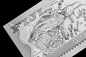 Five Fijian dollars banknote on a black background. Black and white