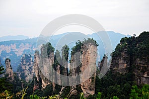 Five fingers peaks in Wulingyuan Scenic Area