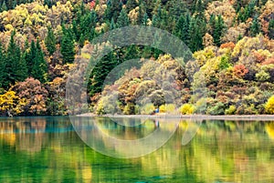 Five Flower Lake in Jiuzhaigou Valley