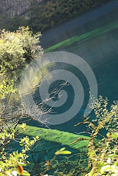 Five flowers waterpool