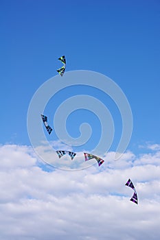 Five flying kites in the cloudy sky