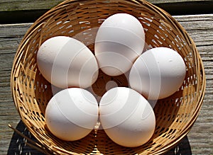 Five fresh chicken eggs in a wicker basket