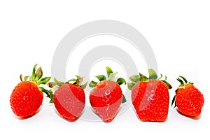 Five fresh and natural red strawberries of different shapes with green leaves, side by side, on white background