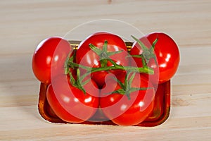 Five fresh red tomatoes with green stem in the tray , isolated on the background