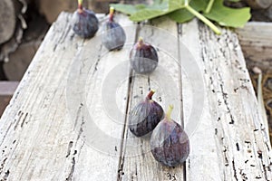 Five freshly picked figs from the tree