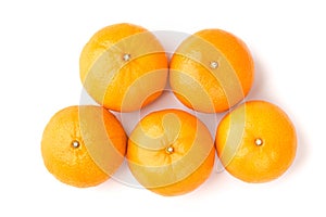 five fruit orange isolate on white background