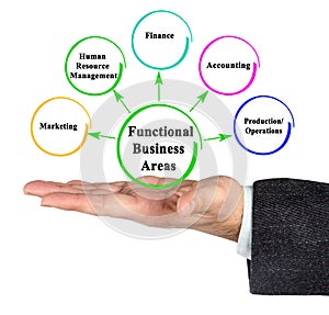 Five Functional Business Areas