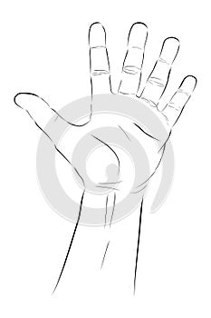 five gesture simple vector hand draw sketch doodle man hand