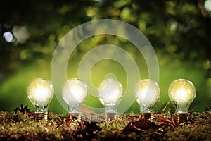 Five glowing eco friendly efficient light bulbs