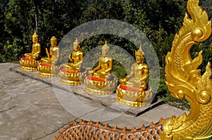 Five golden Buddhas with different mudras in a row