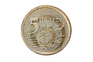 Five groszy. Polish zloty. The Currency Of Poland. Macro photo of a coin. Poland depicts a Five-Polish groszy coin.