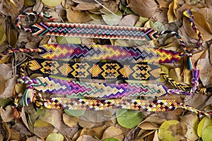 Five handmade homemade colorful natural woven bracelets of friendship in autumn dry leaves, fall color