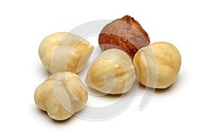 Five Hazelnut