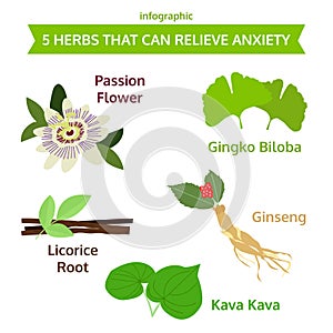five herbs that can relieve anxiety, herb icon, vector food illustration photo