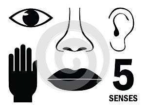 Five human senses