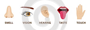 Five human senses icons set. Cartoon design nose, eye, hand, ear and mouth