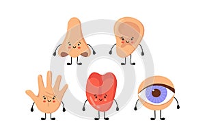 Five human senses organs kawaii characters set. Nose, ear, hand, tongue and eye hold hands. Cute sensory organs. See