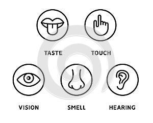 Five human senses vision eye, smell nose, hearing ear, touch hand, taste mouth and tongue. Line vector icons set