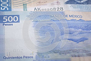 Five hundred mexican pesos ticket blue dollar paper