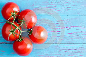 Five Hydroponic tomatoes on stem with copy space