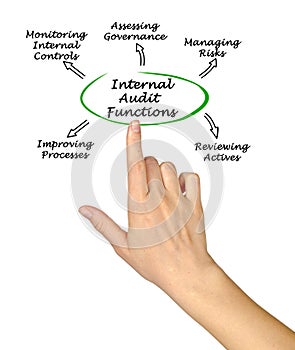 Five Internal Audit Functions
