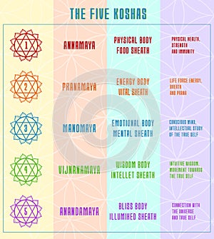 The five koshas colorful infographic. Layers or sheaths of human body in yoga philosophy photo