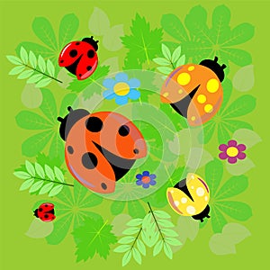 Five ladybugs on green leaves