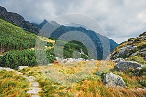 Five lakes valley in High Tatra Mountains, Poland